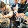 Co mówią zwierzęta?