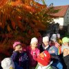 Jesień na spacerze i w sali Krasnoludków