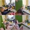 Zielone ogródki w przedszkolu